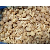 Жареные замороженные опята со сметаной и луком