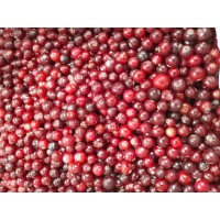 Клюква в снегу