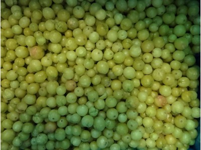 Чатни из крыжовника с имбирем и мятой