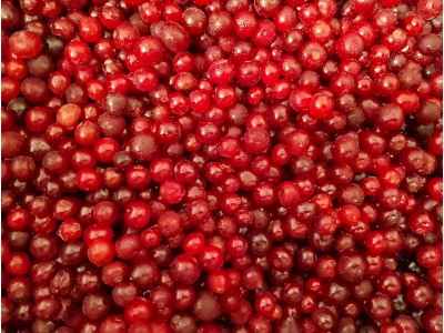 Морс из замороженной калины Морс из замороженной калины