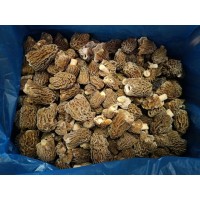 Тальятелле со сморчками в сливочном соусе