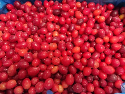  Классический суп из кизила