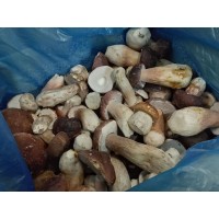 Паста с белыми грибами