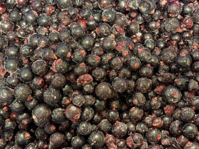 Соус из черной смородины к мясу Соус из черной смородины к мясу