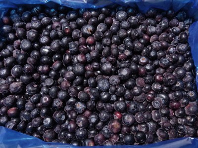 Фокачча с черникой и лимоном